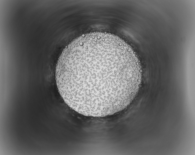 X0000088680917200706281939