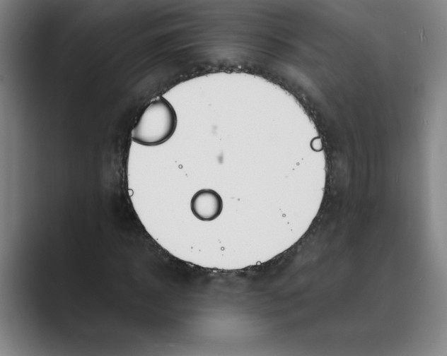 X0000088680918200706281939