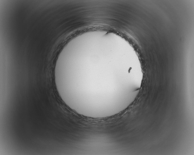 X0000088680920200706281939