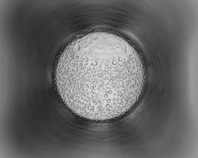 X0000088680921200706281939