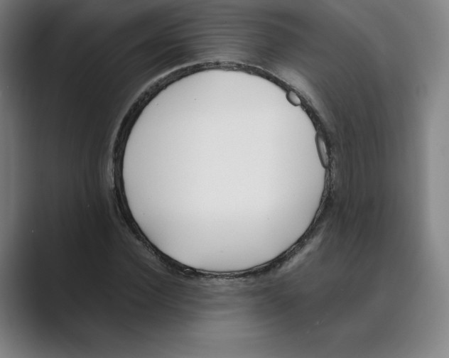 X0000088680924200706281939