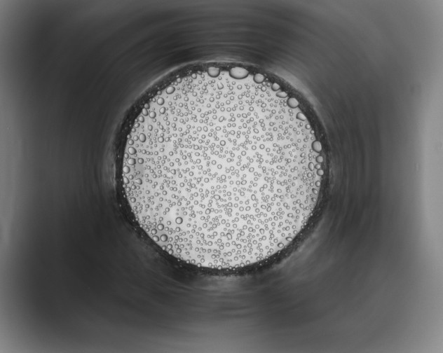 X0000088680925200706281939