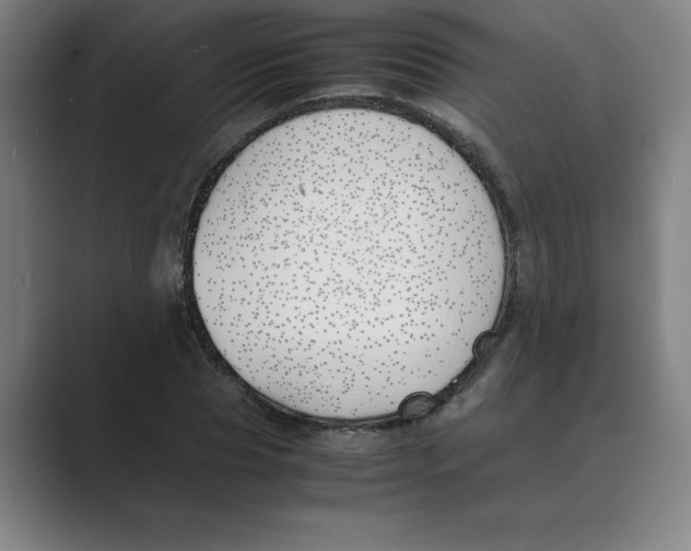 X0000088680929200706281939