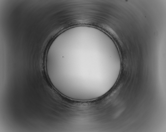 X0000088680930200706281939