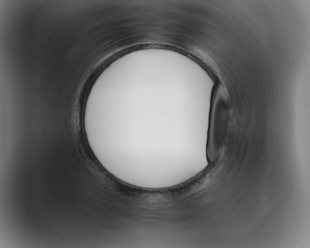 X0000088680931200706281939