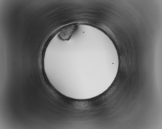 X0000088680939200706281939