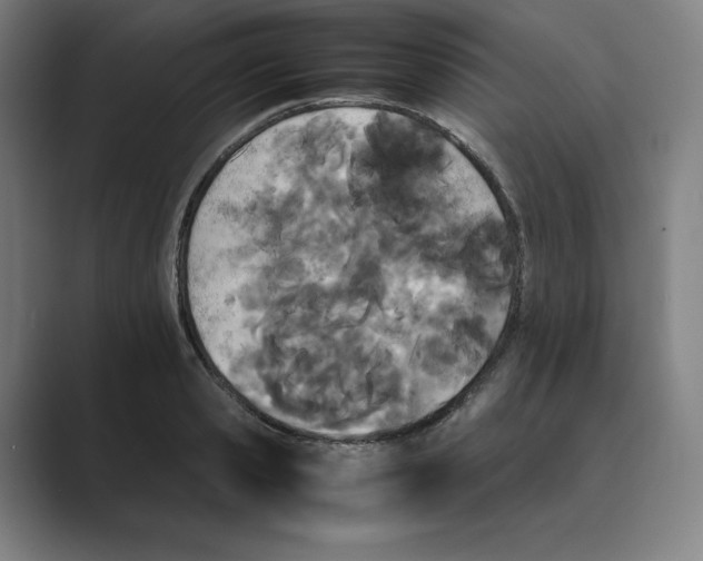 X0000088680941200706281939