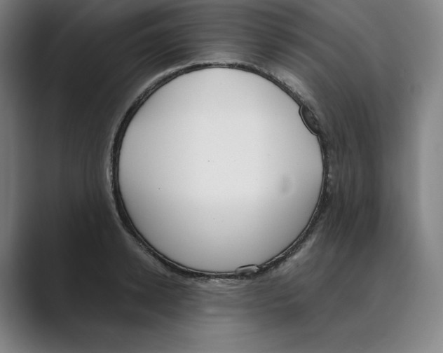 X0000088680942200706281939