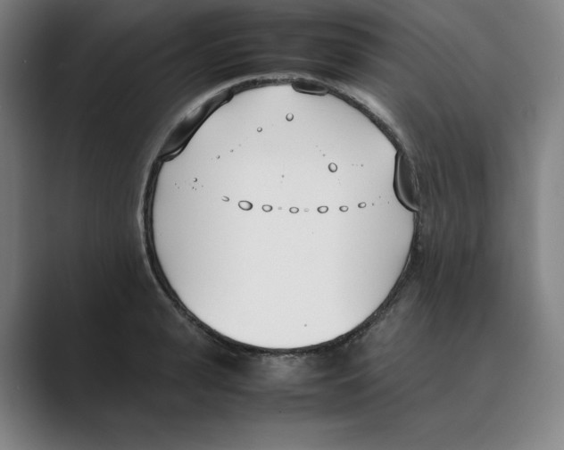 X0000088680943200706281939