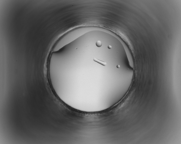 X0000088680944200706281939