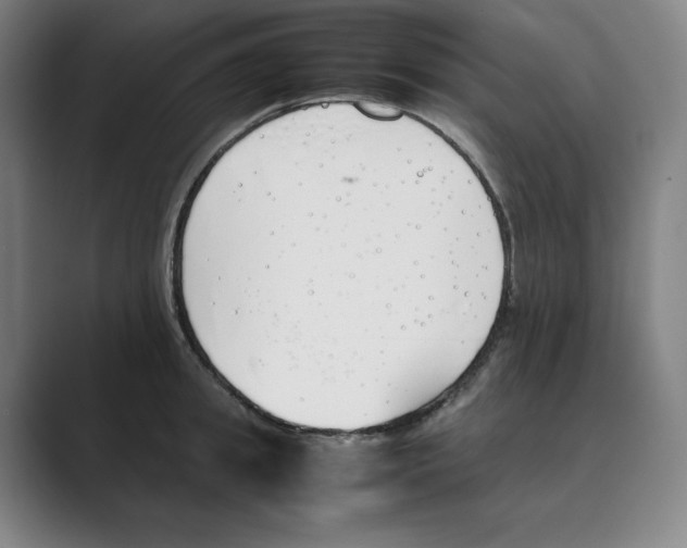 X0000088680949200706281939