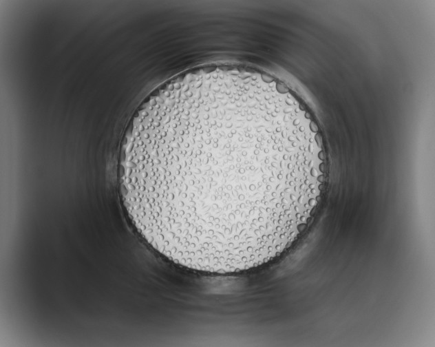 X0000088680953200706281939