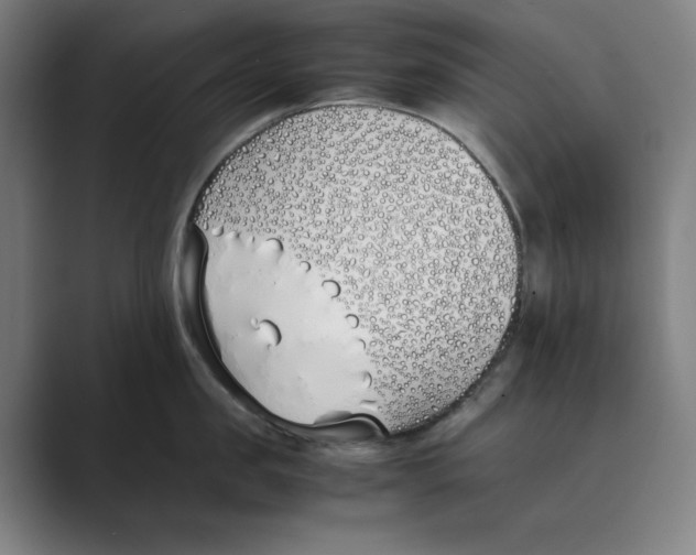 X0000088680957200706281939