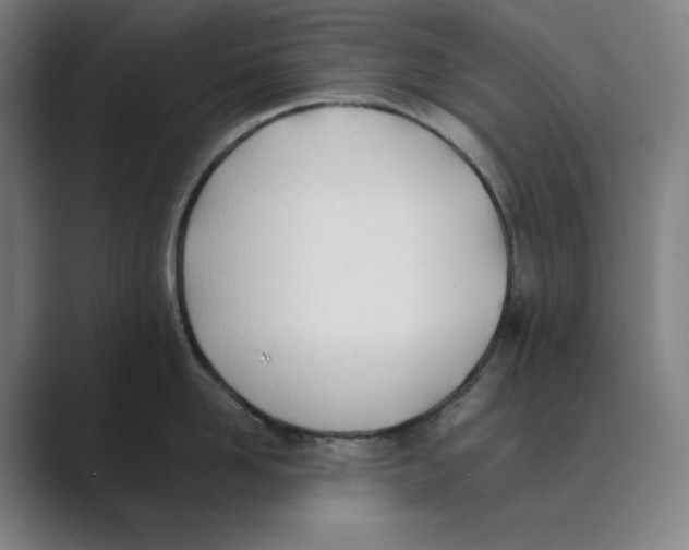 X0000088680958200706281940