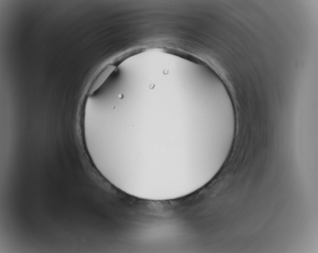 X0000088680960200706281940