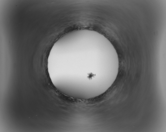 X0000088680961200706281939