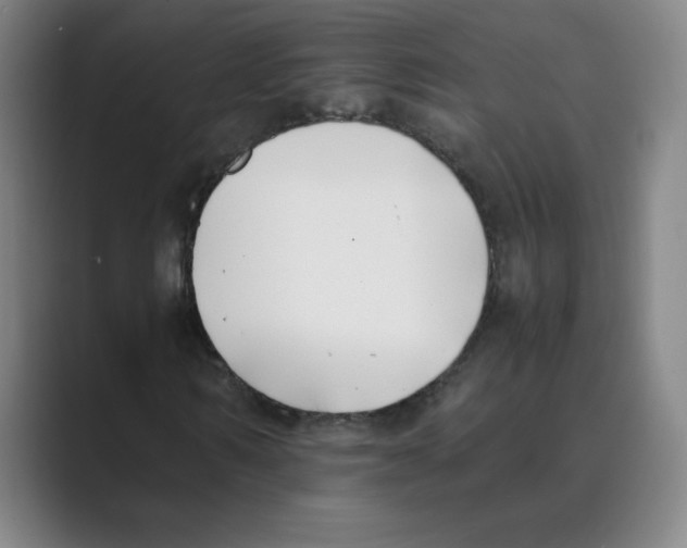 X0000088680962200706281939