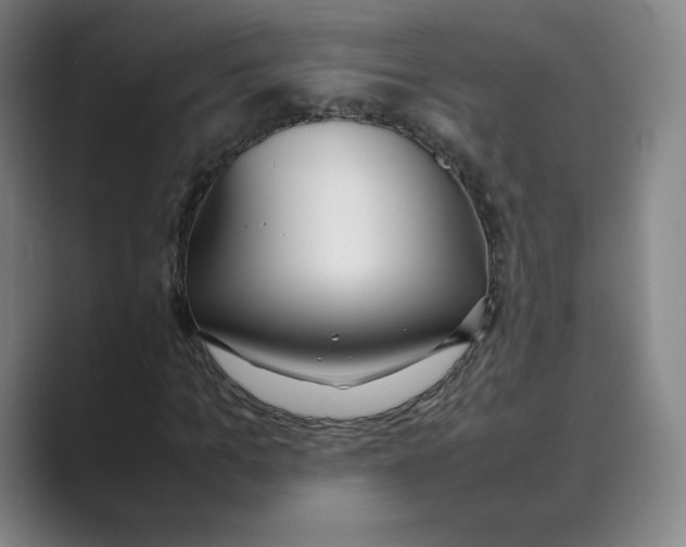 X0000088680965200706281939