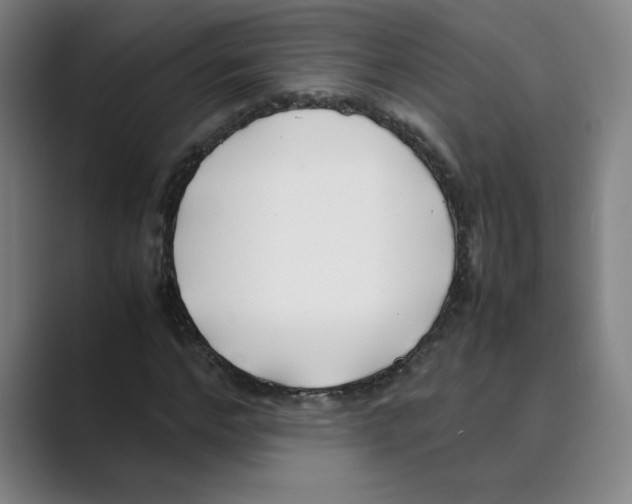 X0000088680968200706281939