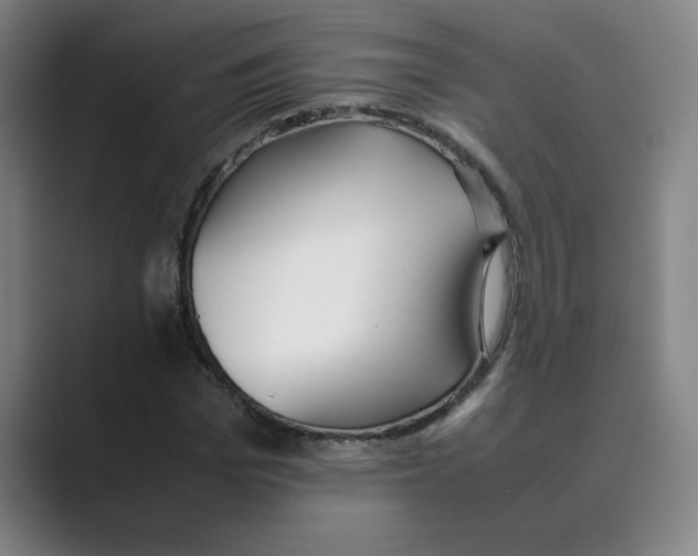 X0000088680969200706281939