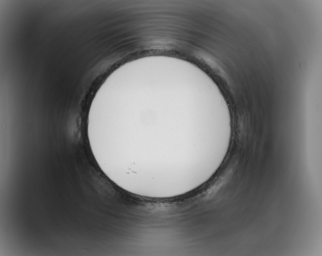 X0000088680970200706281939