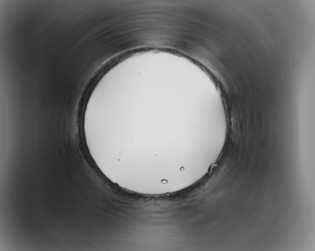 X0000088680972200706281939