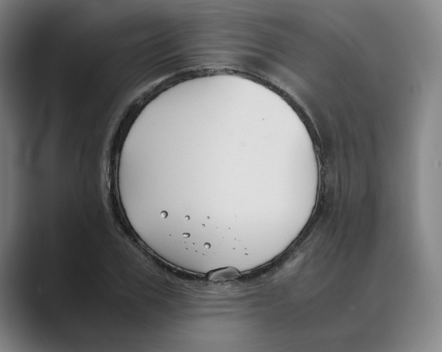 X0000088680979200706281939