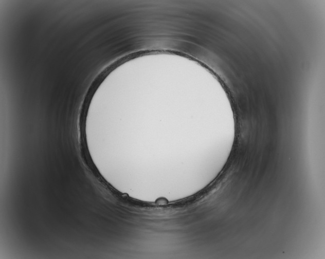 X0000088680980200706281939