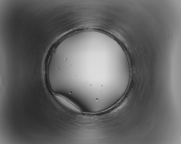 X0000088680981200706281939