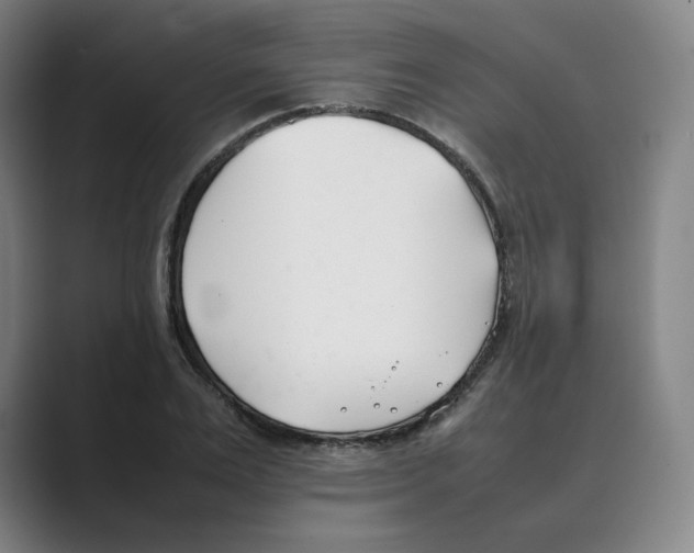 X0000088680983200706281939