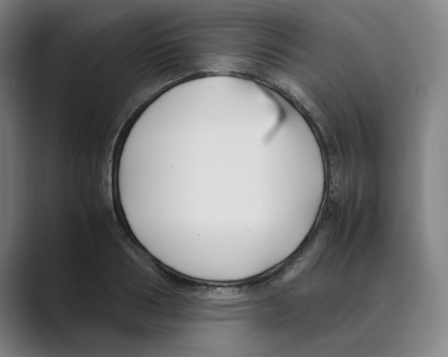 X0000088680986200706281939