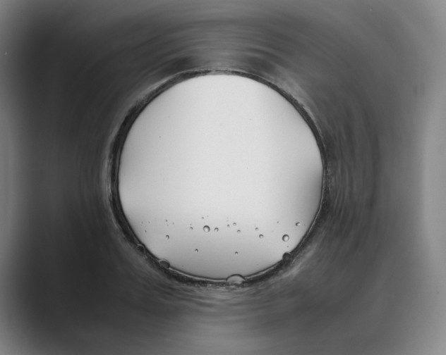 X0000088680987200706281939