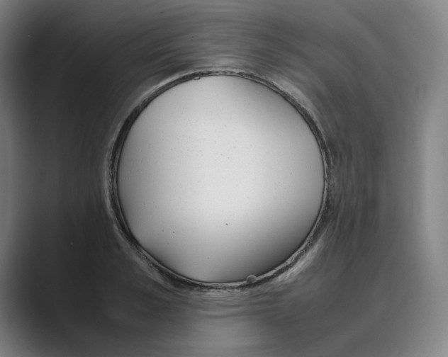 X0000088680989200706281939