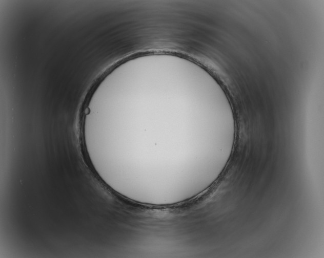 X0000088680990200706281939