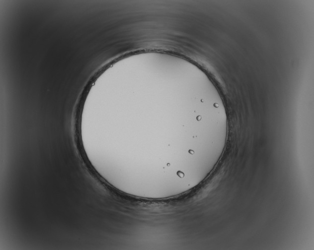 X0000088680991200706281939