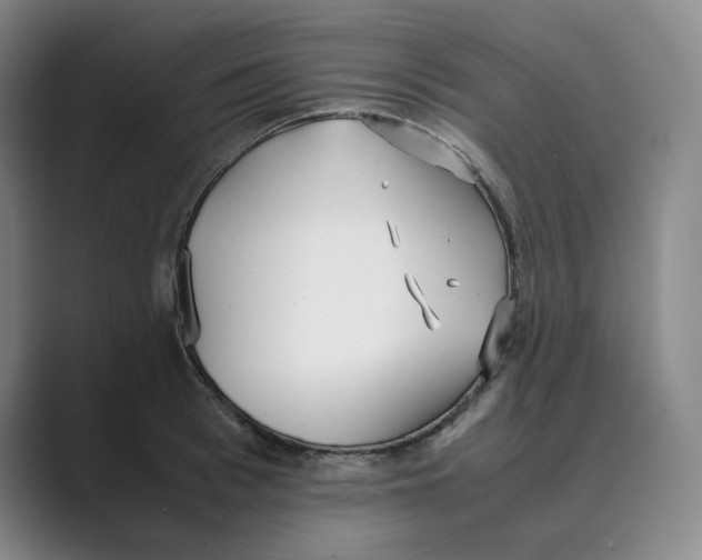 X0000088680993200706281939