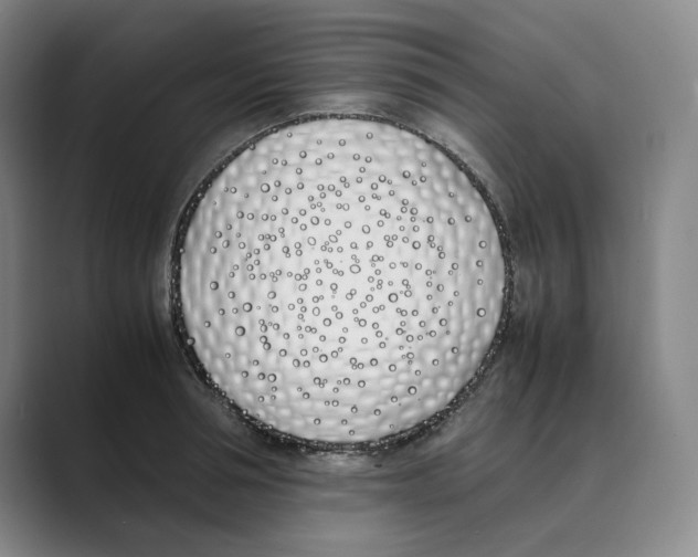 X0000088680994200706281938