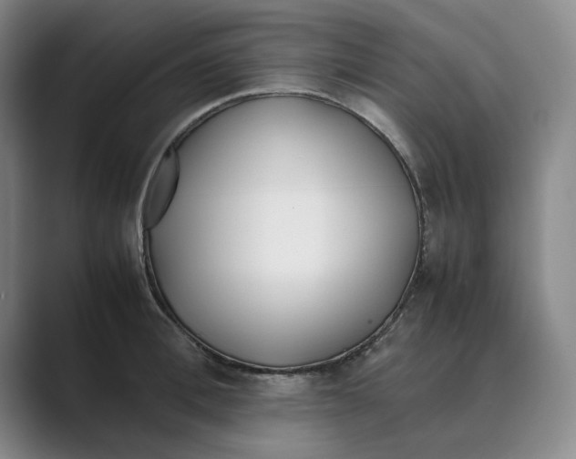 X0000088680996200706281938