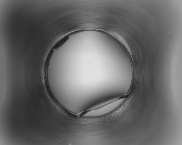 X0000088680997200706281938