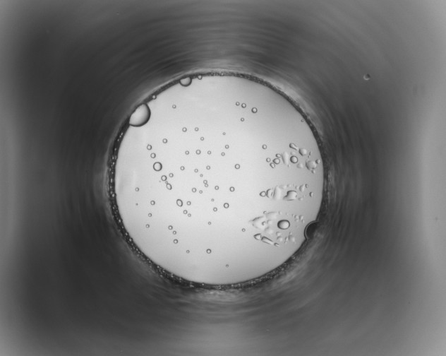 X0000088680998200706281938