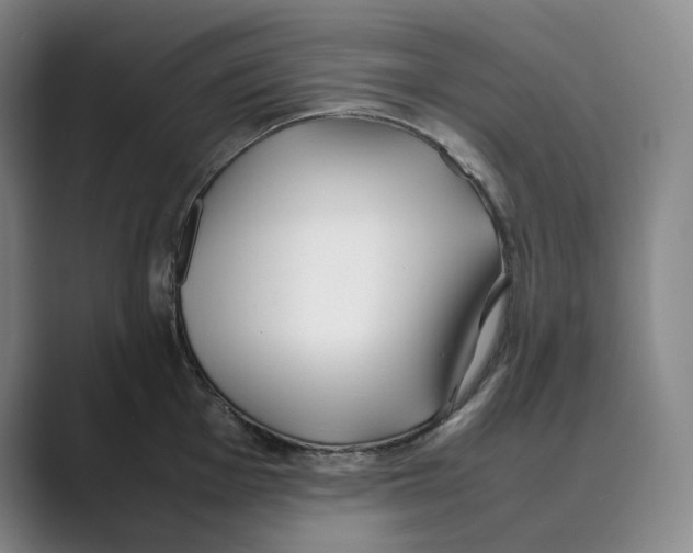 X0000088681001200706281938