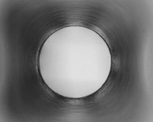 X0000088681002200706281938