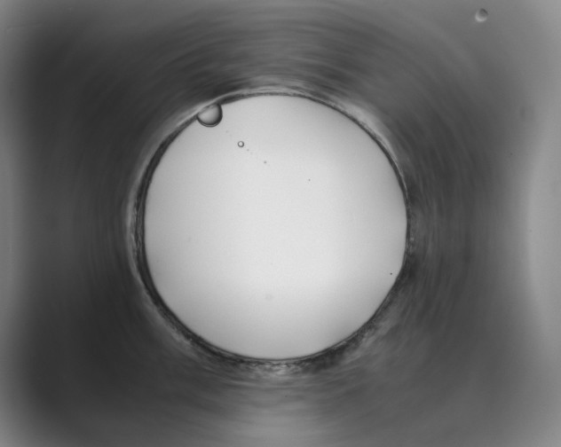 X0000088681003200706281938