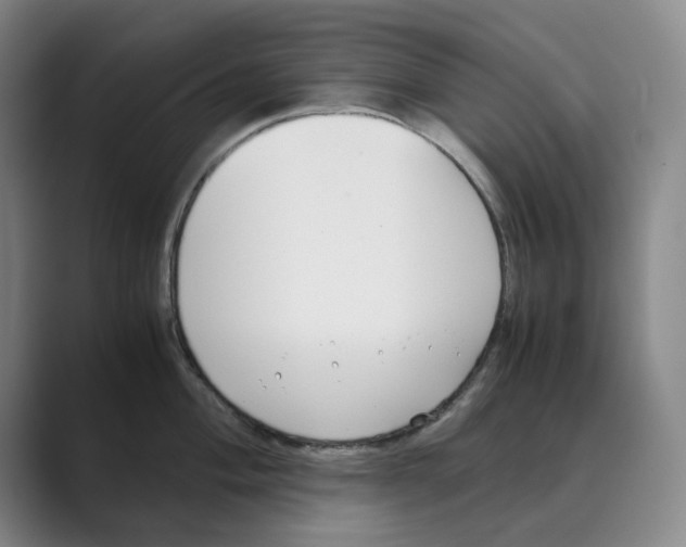 X0000088681004200706281938