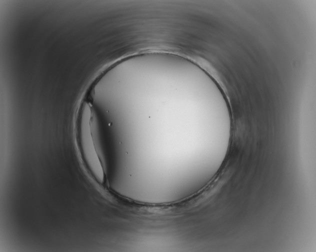 X0000088681005200706281938