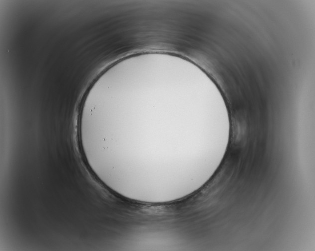 X0000088681006200706281938