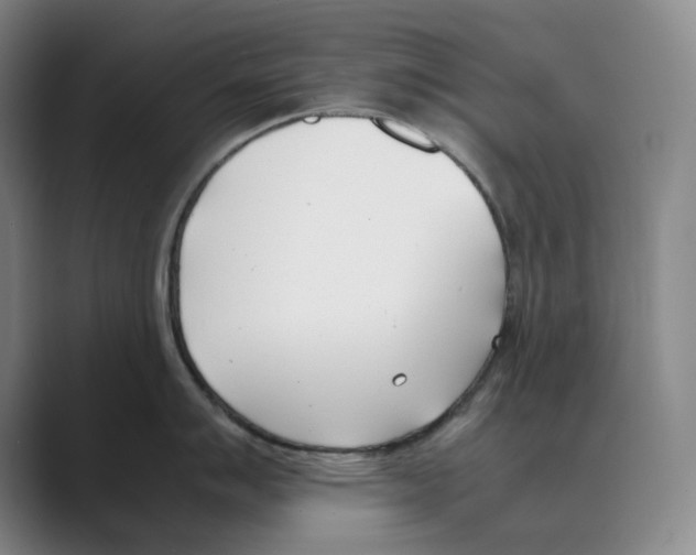 X0000088681007200706281938