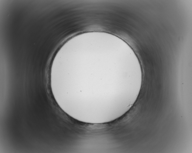 X0000088681008200706281938