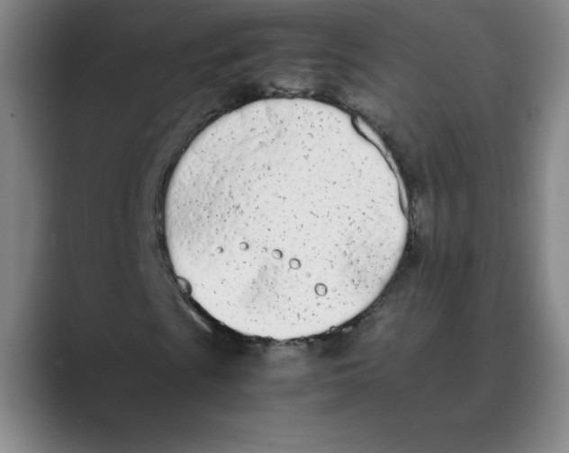 X0000088681009200706281938