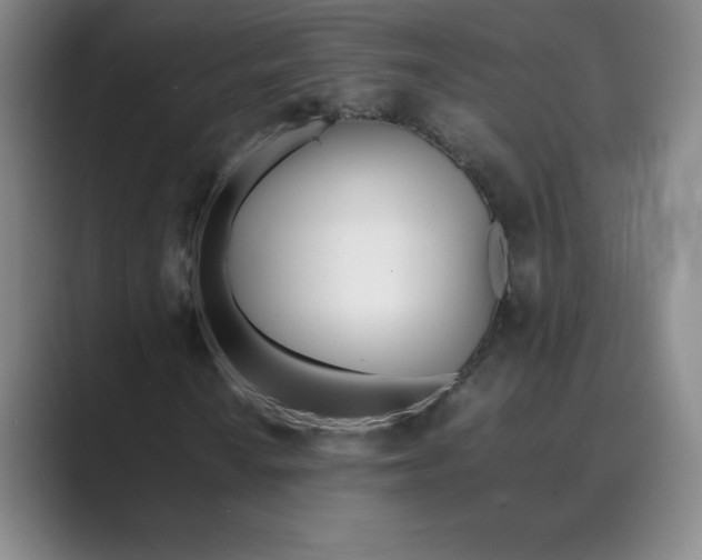 X0000088681010200706281938